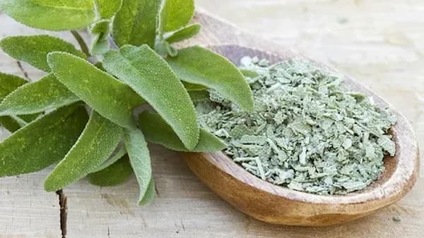 قیمت گیاه خشک اسطوخودوس  + خرید باور نکردنی
